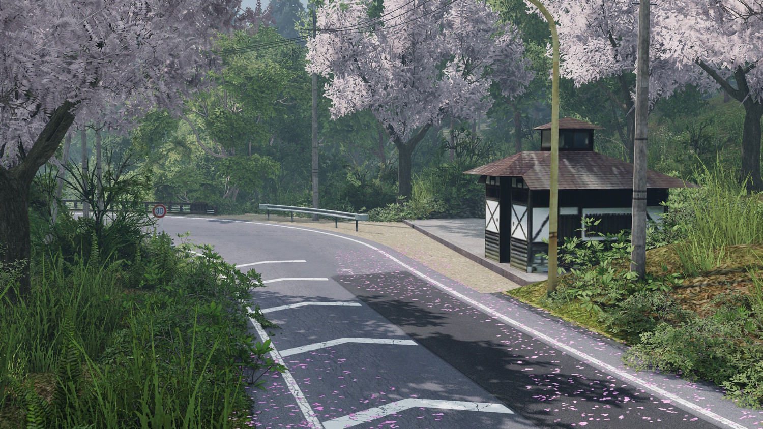 МОД Карта Sadamine Pass (Touge) v1.2 (0.35.x) ДЛЯ BEAMNG.DRIVE