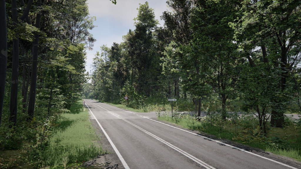 МОД Карта DK28 Wujskie - Tyrawa Wołoska, Podkarpackie, Poland v1.0 (0.37.x) ДЛЯ BEAMNG.DRIVE