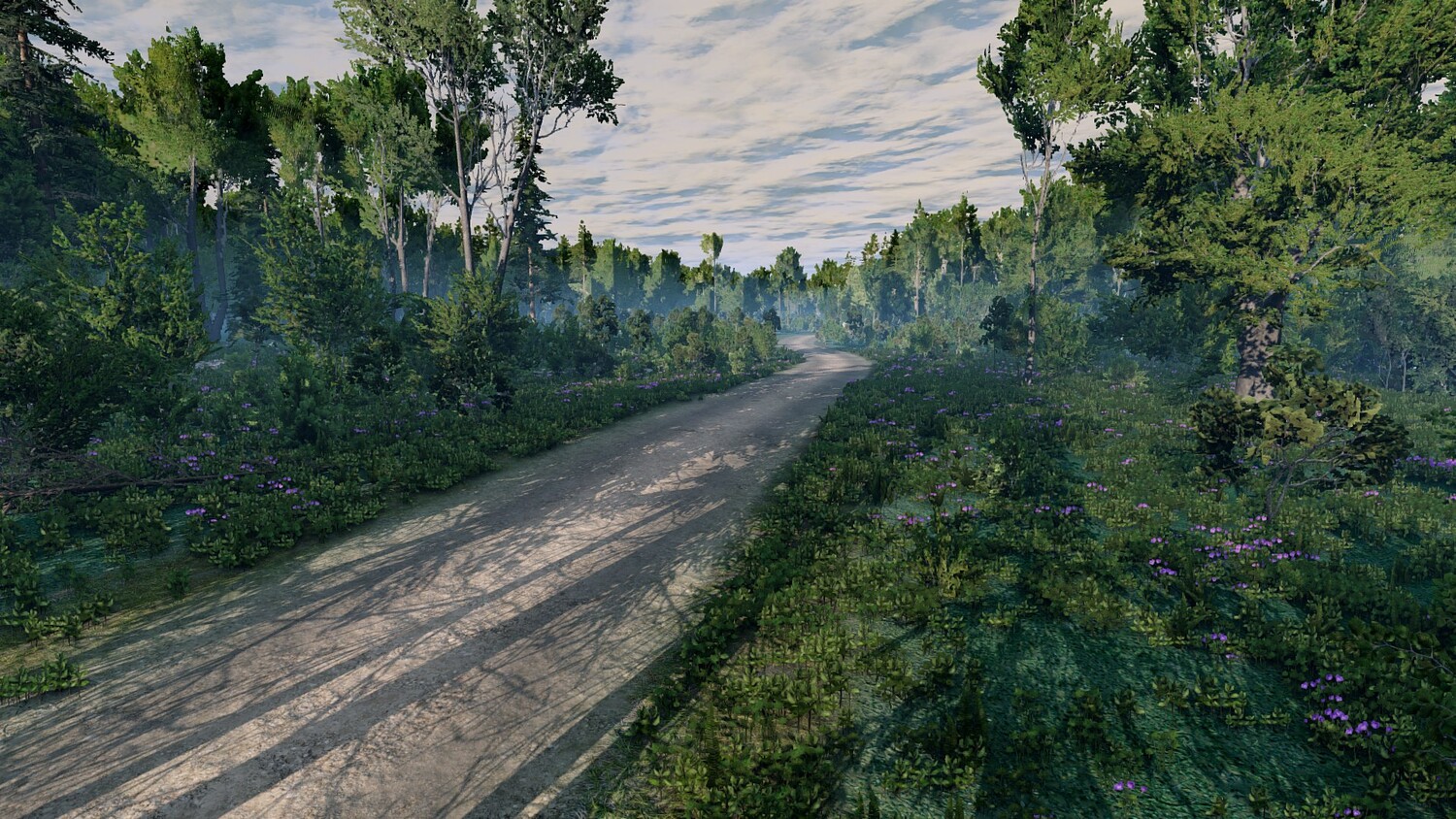 Мод Карта New England Forest Rally - With Rally Loop v1.0 (0.38.x) ДЛЯ BEAMNG.DRIVE