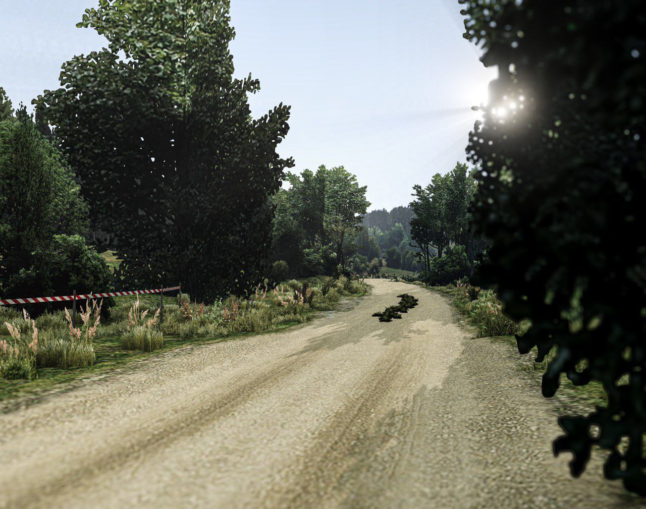 МОД Карта Kormoran, PL (Rally) (0.34.x) ДЛЯ BEAMNG.DRIVE